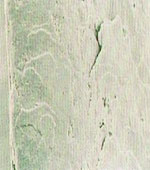 damaged hair cuticle