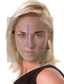 dividing face into 3 equal section to find area that eyebrow placed