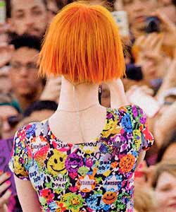 hayley's short hair from behind and back of neck