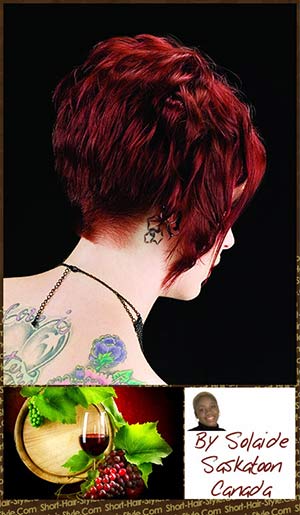 red vine intense hair color