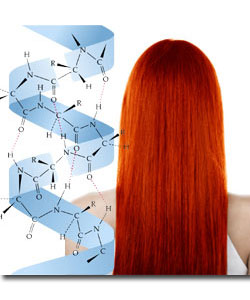 keratin protein helix illustration