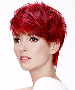 Intercoiffure Mondial creative team, Photo: Sebastian Damberger
