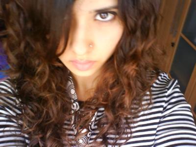 curly hair colors Curly Hair Retriever. curly hair colors