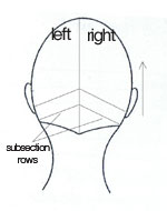 how to straightening the back of head